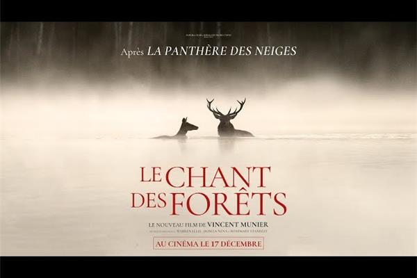 Filmontbijt: Le Chant des Forêts